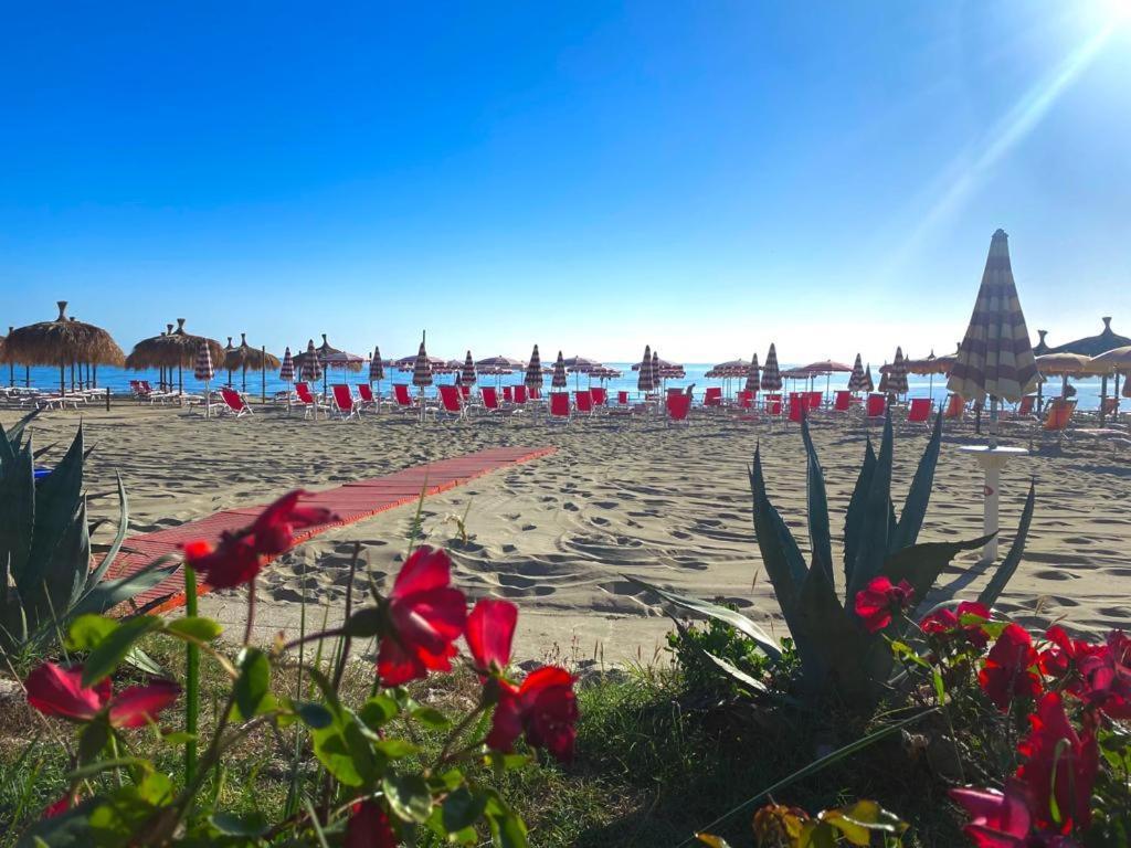Hotel Silvi Silvi Marina Bagian luar foto